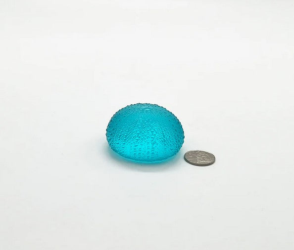 Sea Urchins - Really Big No.2 - 64mm