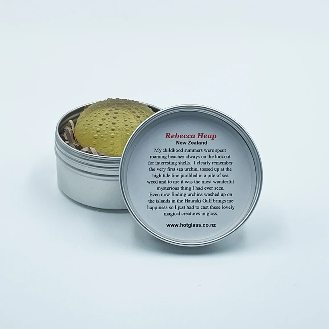 Sea Urchins - Extra Small - 35mm