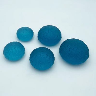 Sea Urchins - Small - 42mm