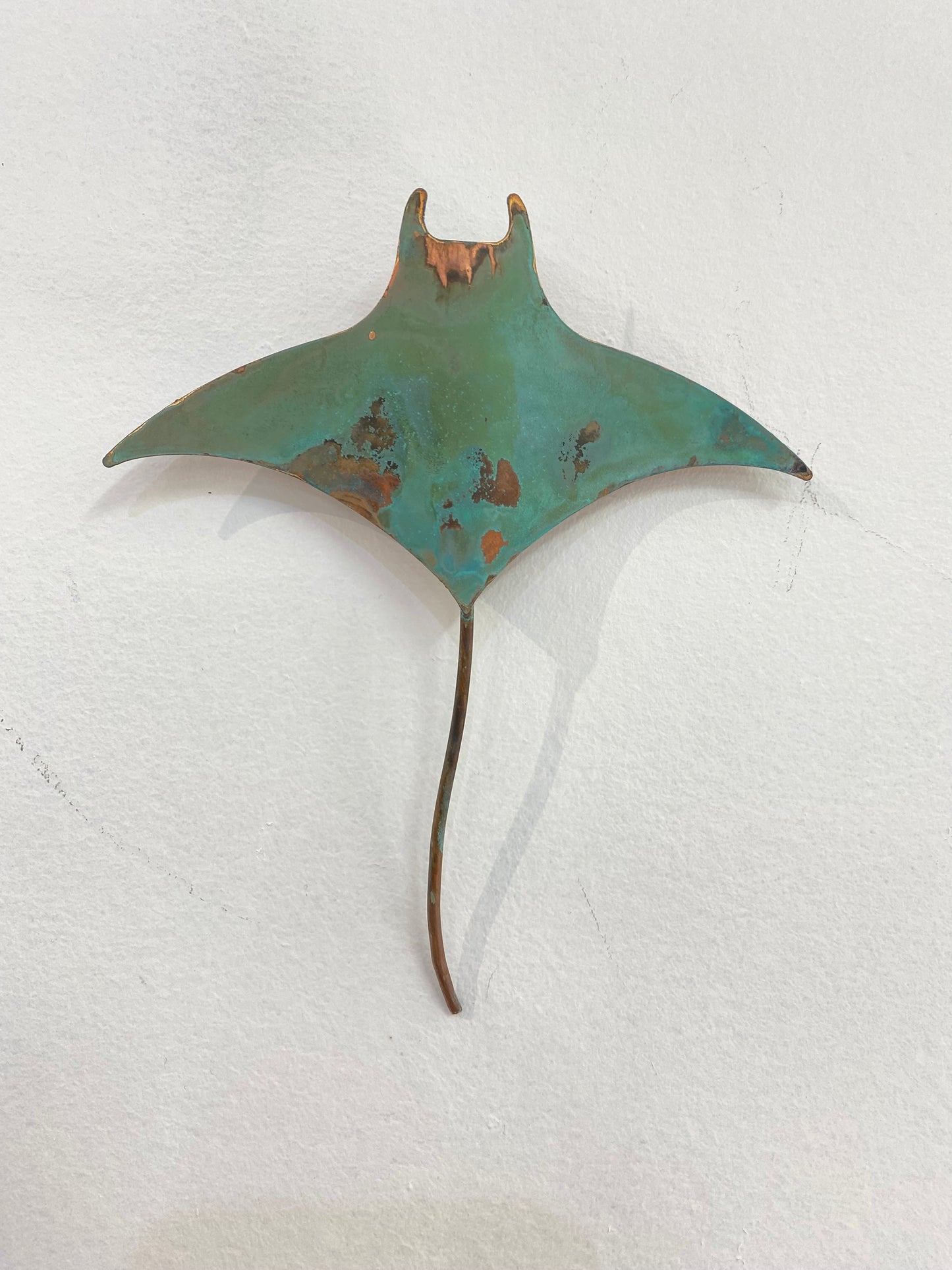 Small Manta Ray