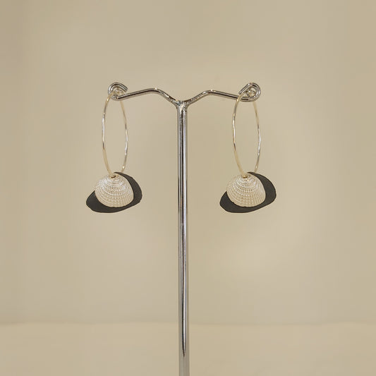 Double Shell Earrings