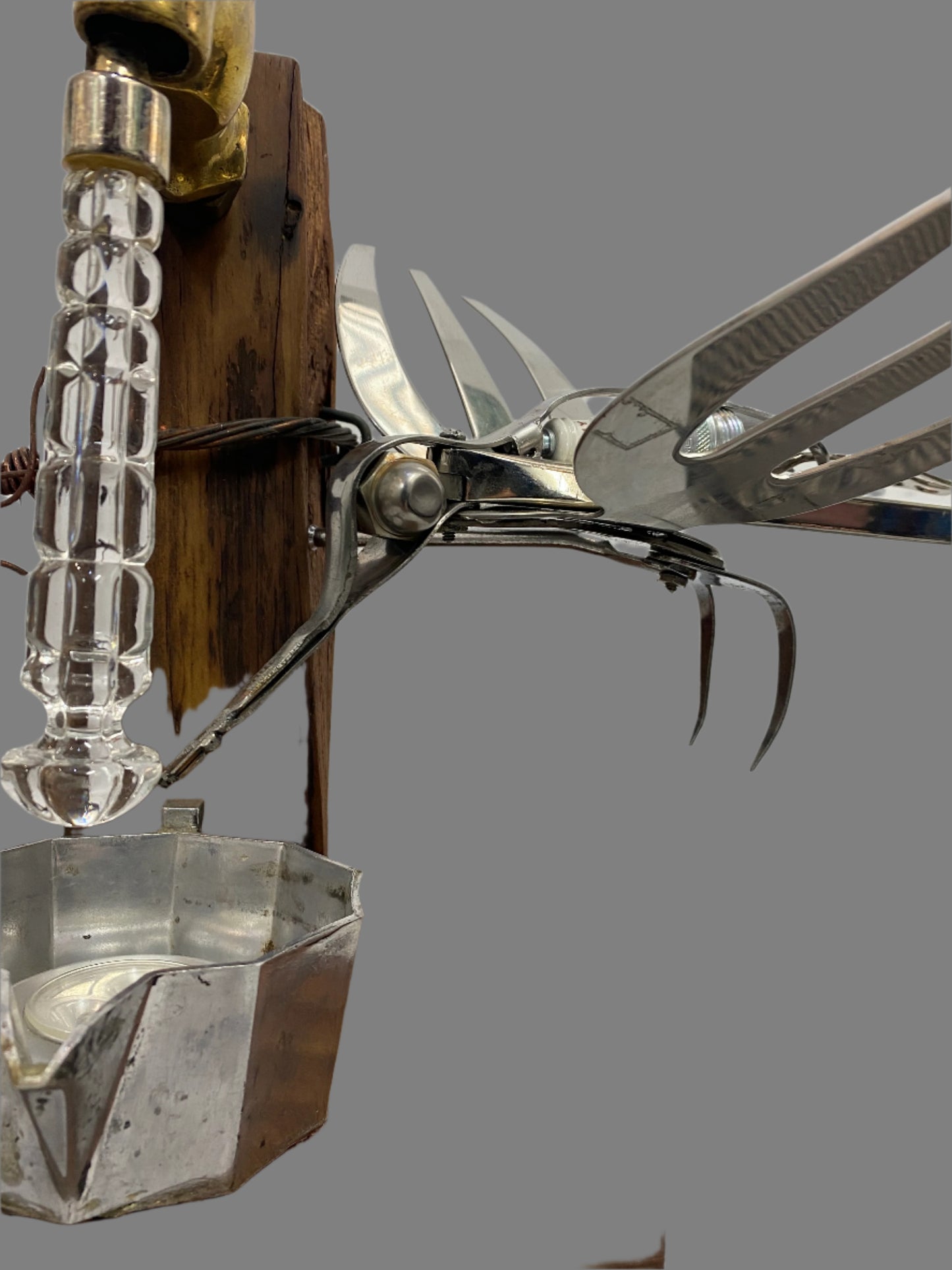 The Hummingbird