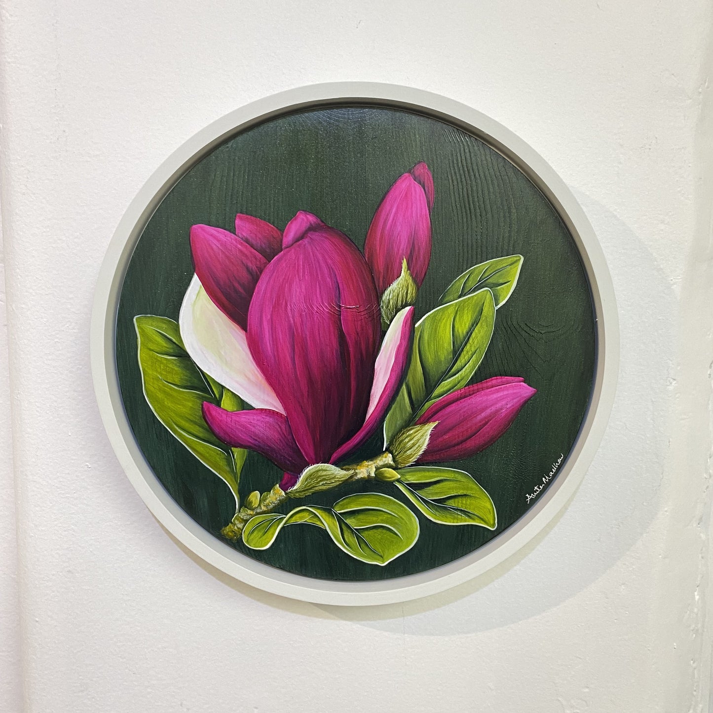 Magnolia II