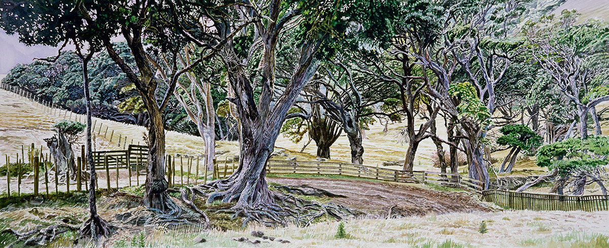 Old Trees, Thames-Coromandel Road