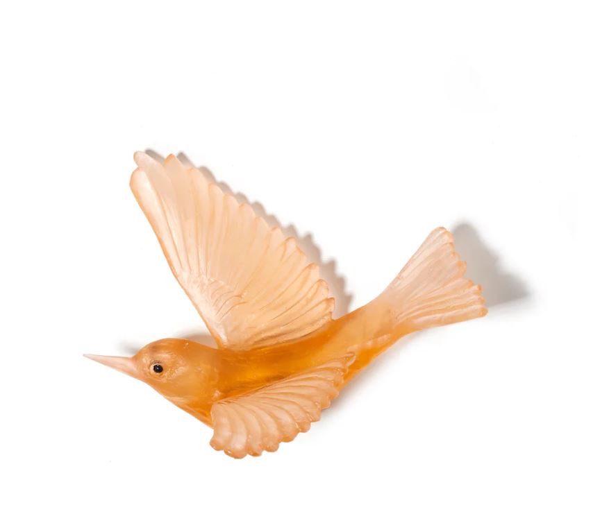 Tauhou / Silvereye - Apricot