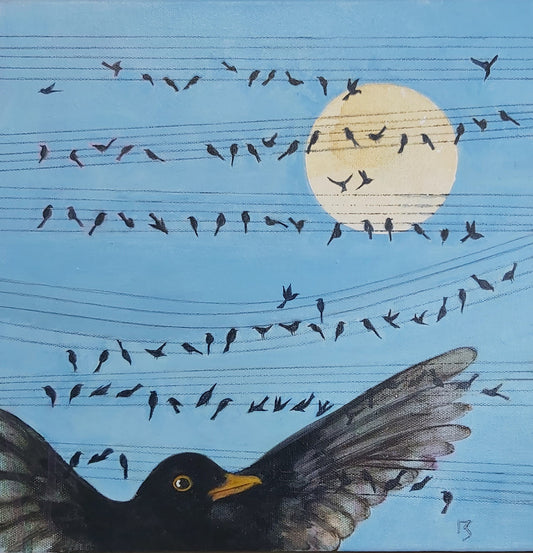 Songbird - (Christine Mcvie)