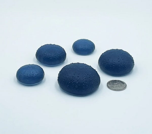 Sea Urchins - Really Big No.3 - 72mm