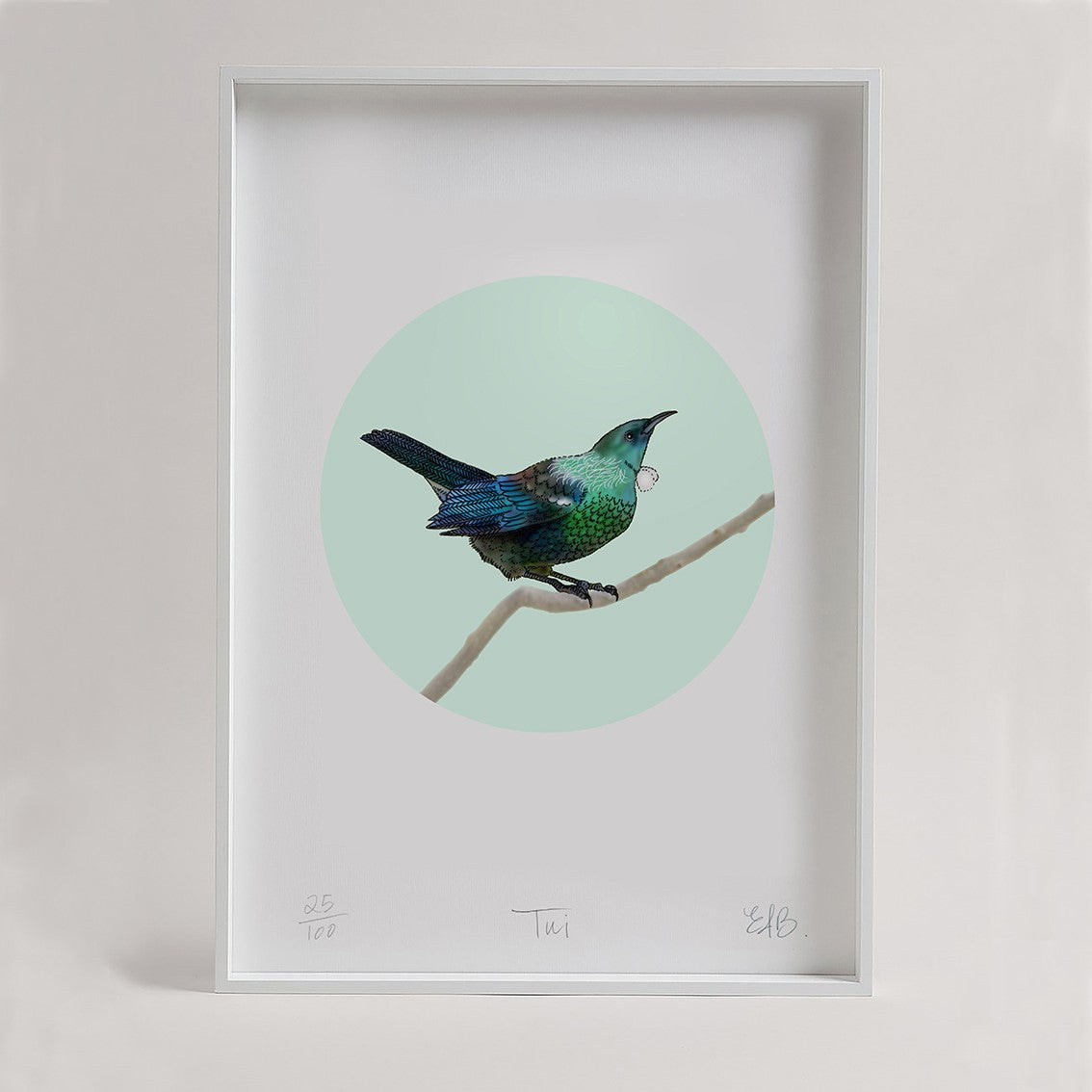 Tui - Unframed