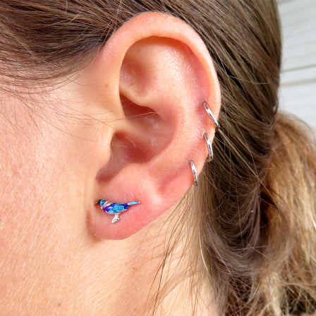 Tui Stud Earrings