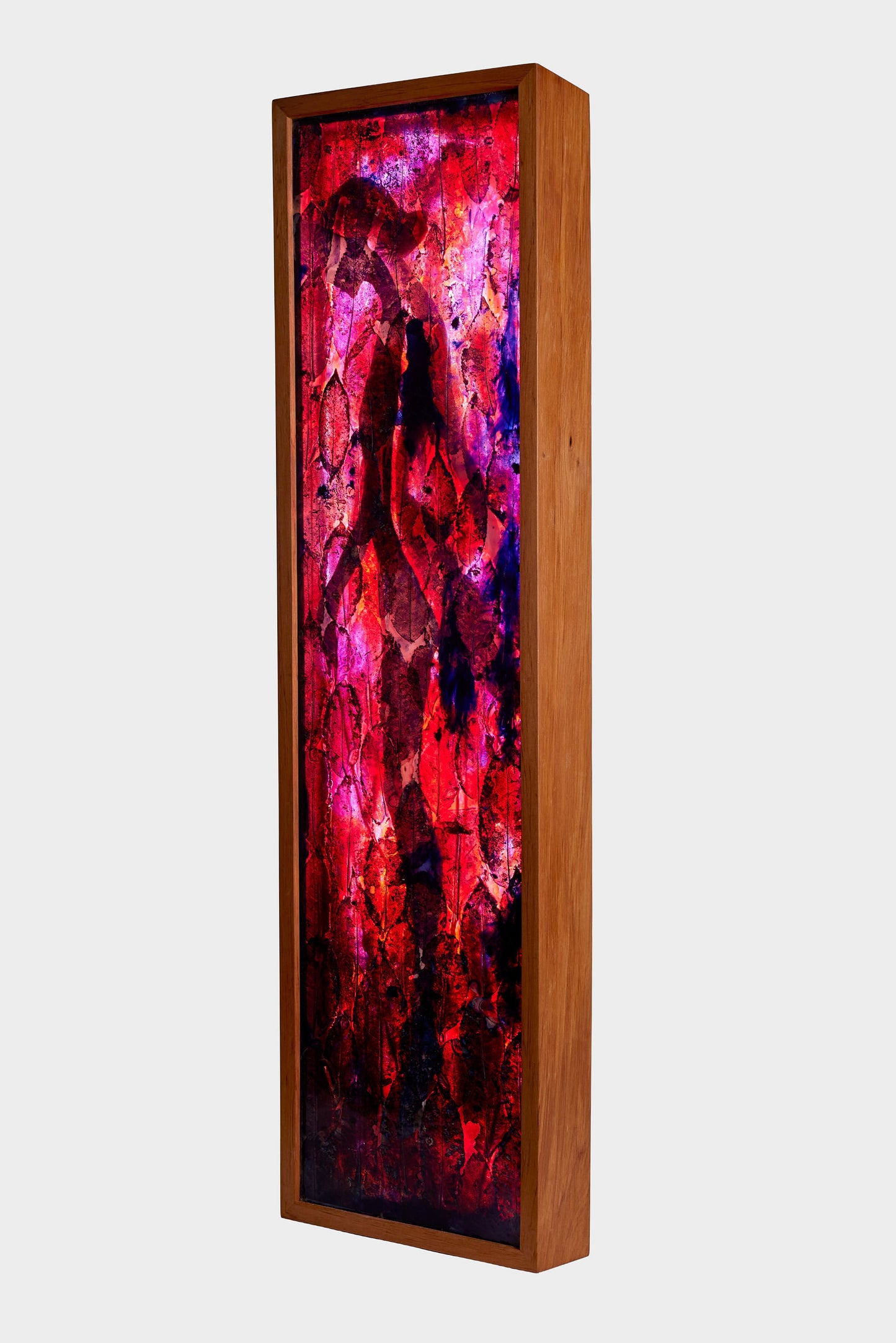 Wildlight I