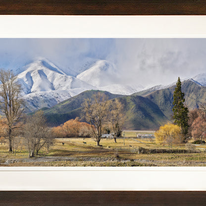 Winter's Arrival