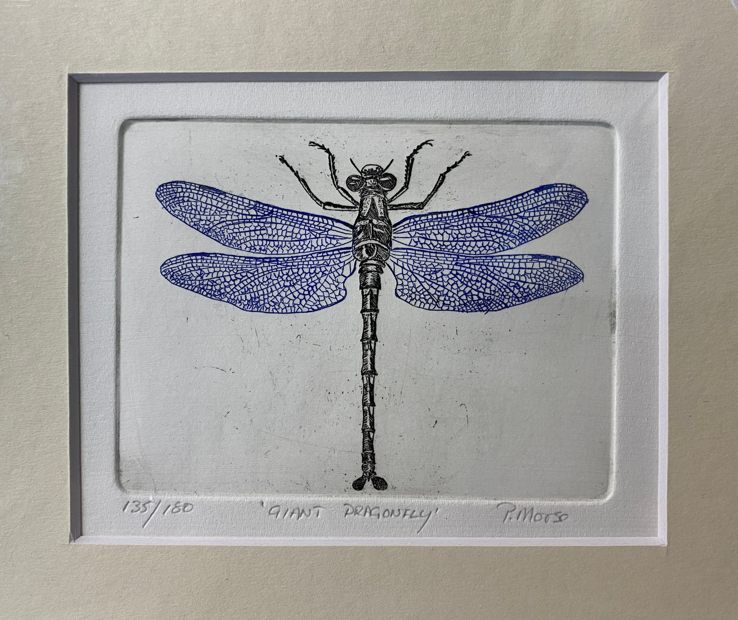 Etching on paper