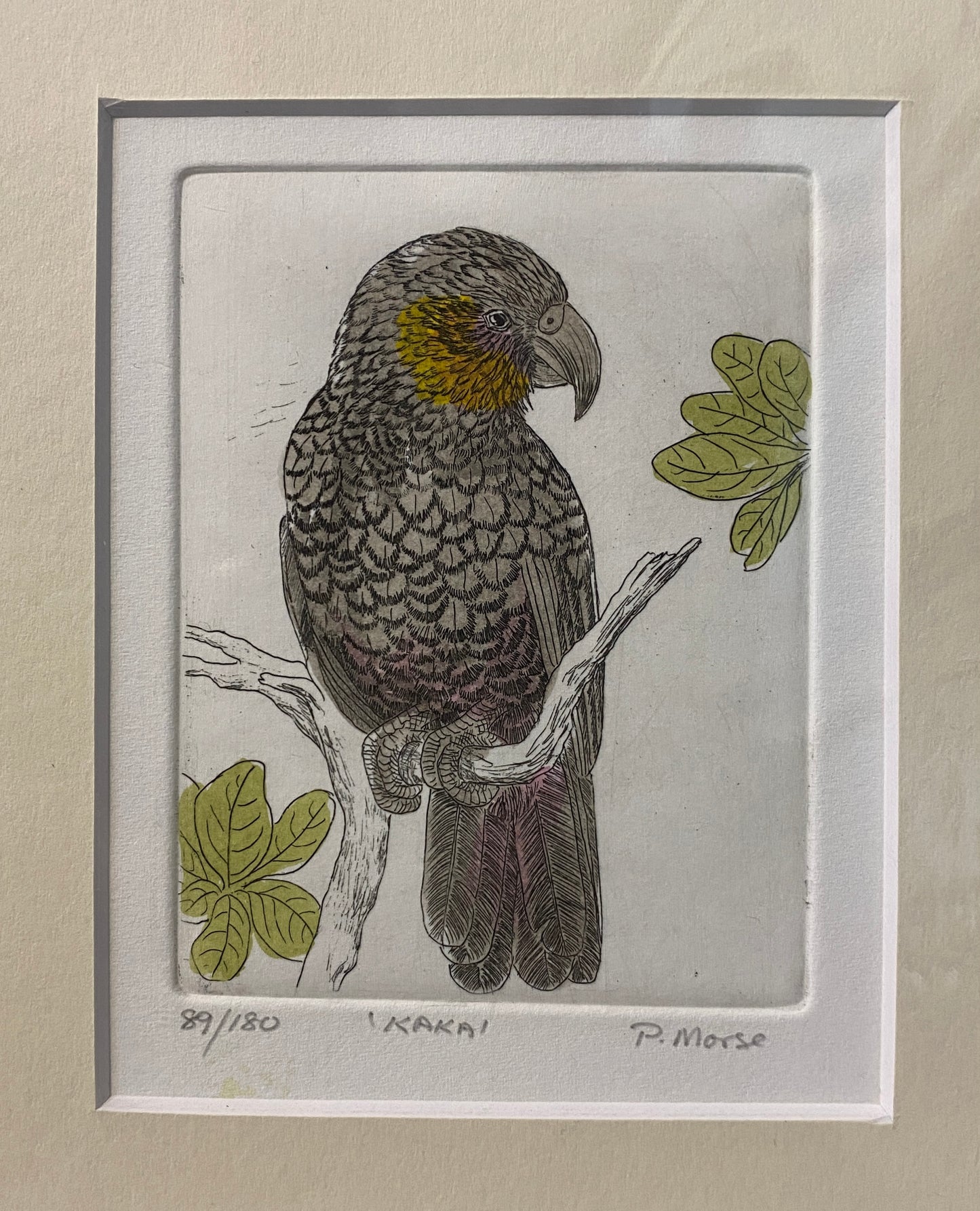 Etching on paper