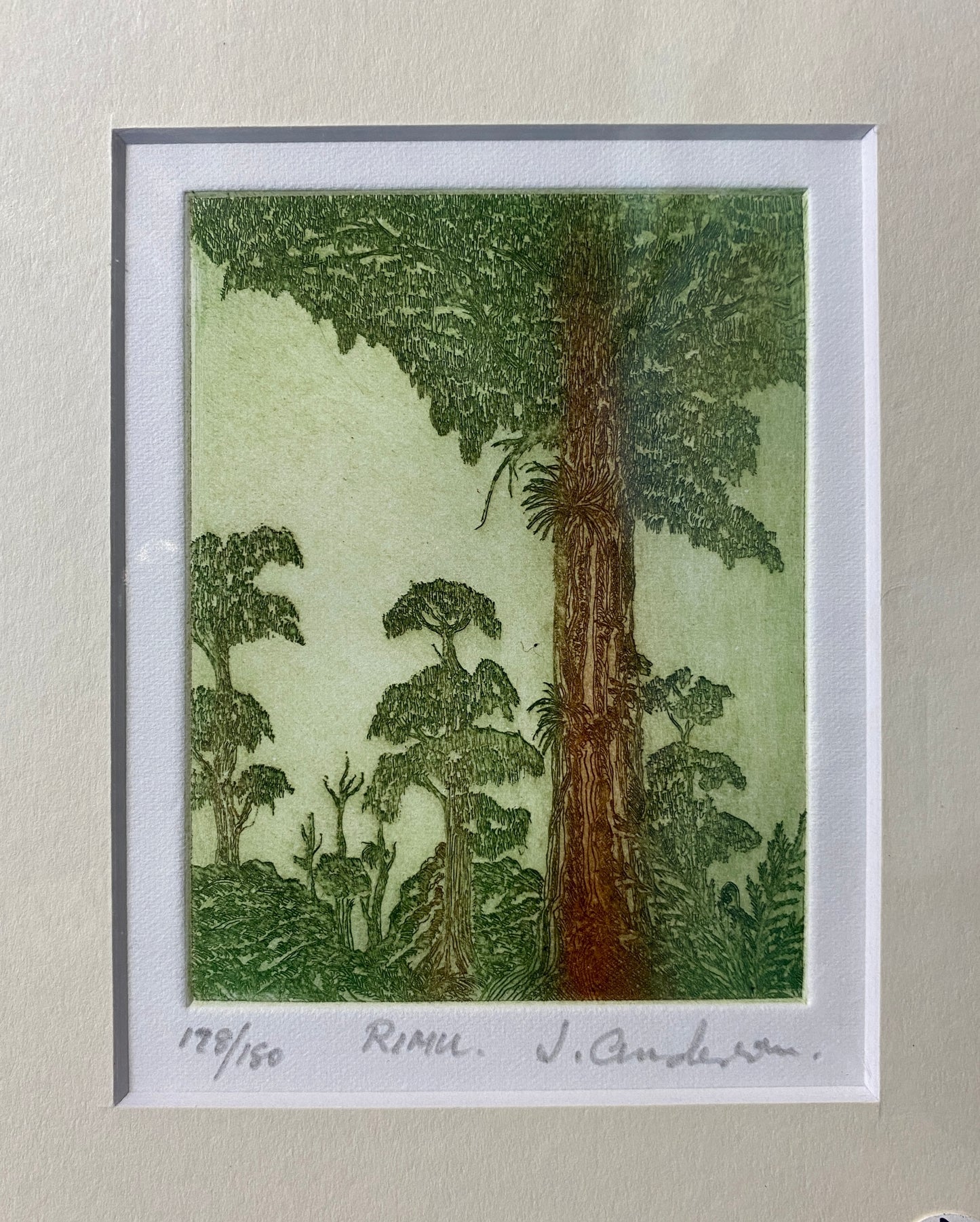 Etching on paper