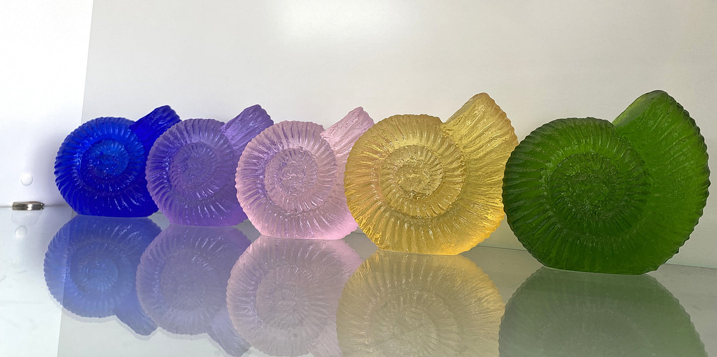 Glass Cast Ammonite