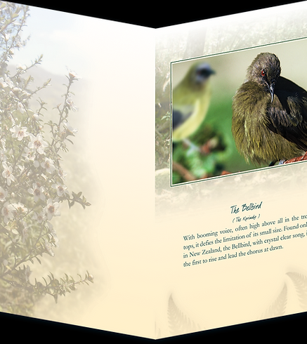 Bellbird (Korimako) Singing Card - 706