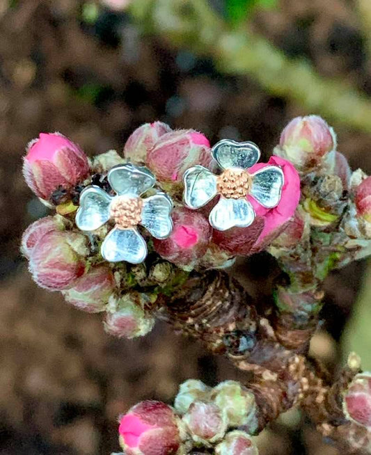 Blossom Studs