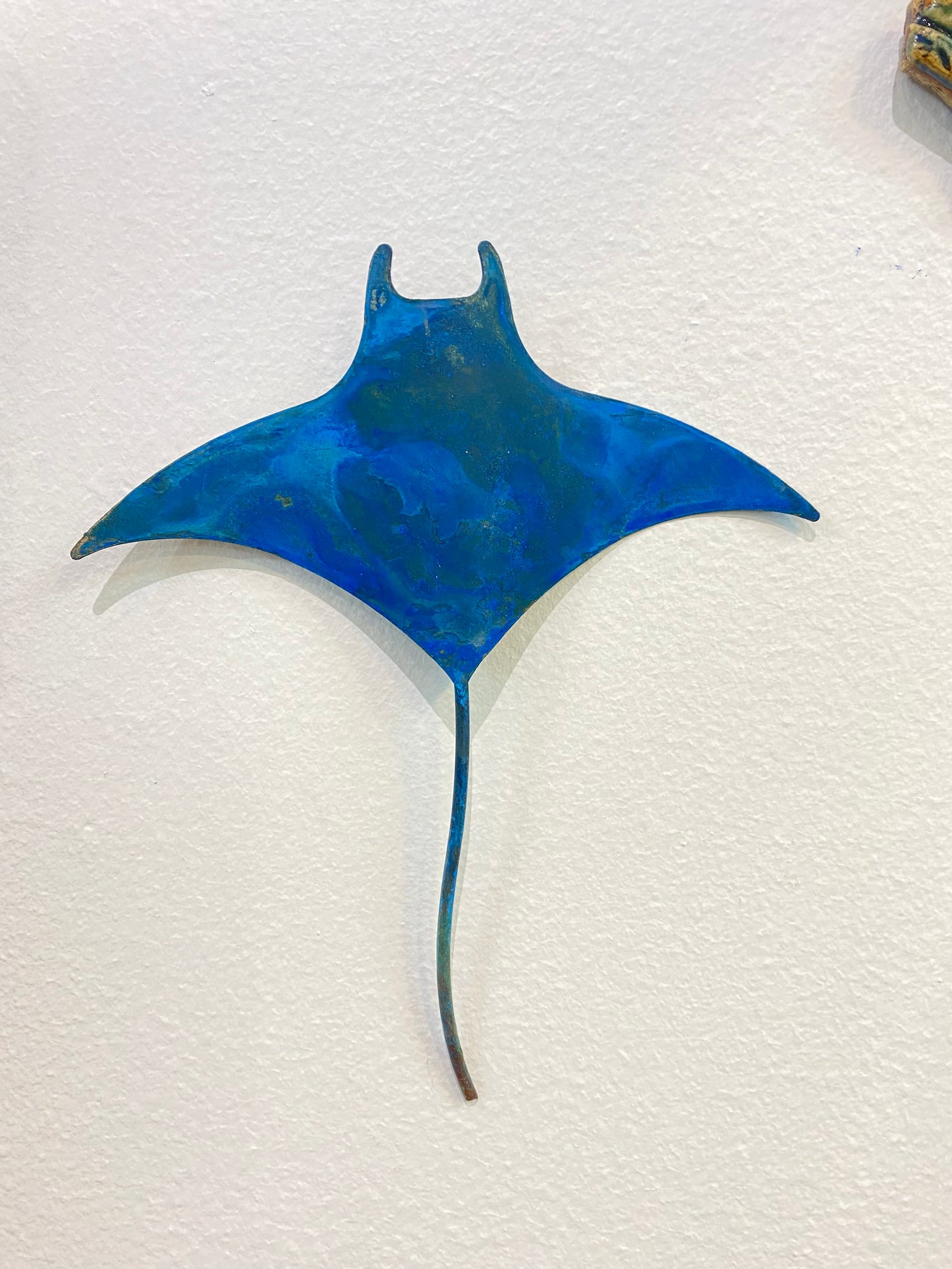Small Manta Ray
