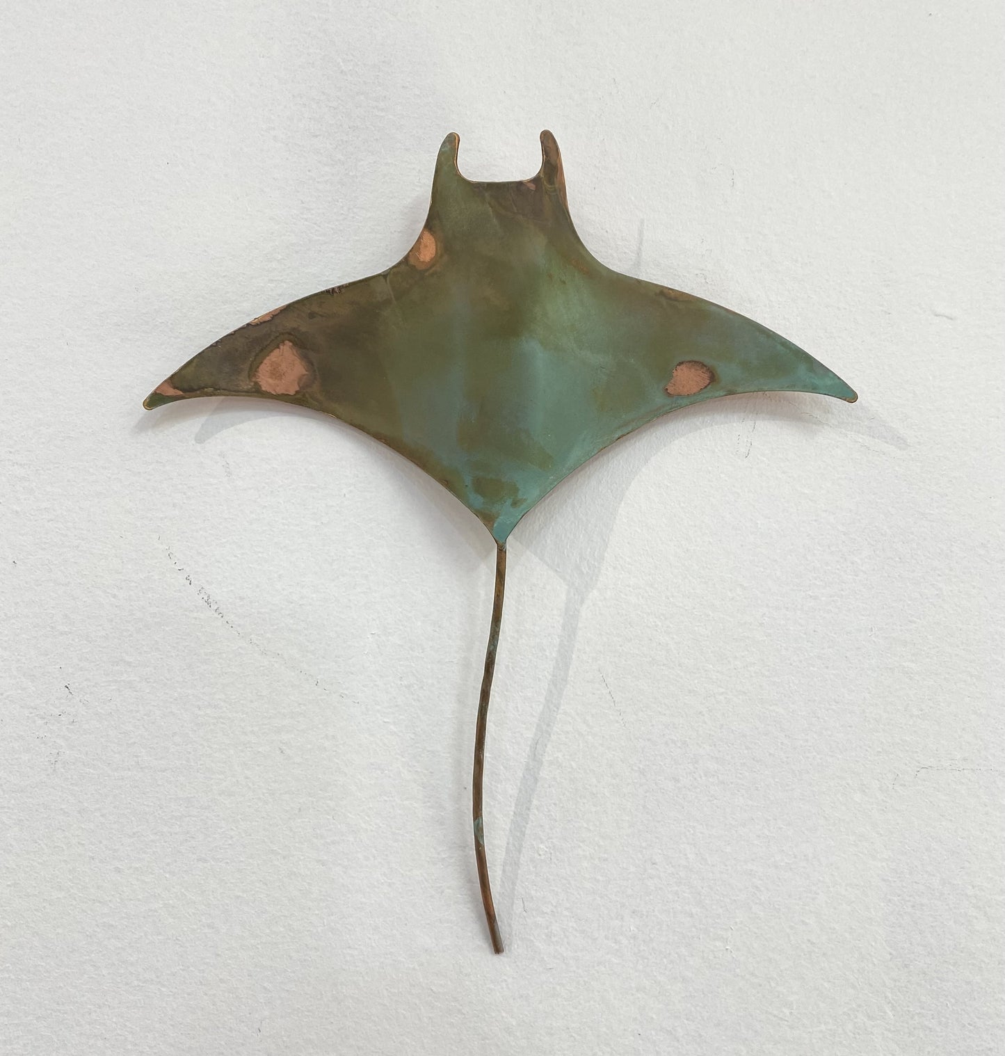 Medium Manta Ray