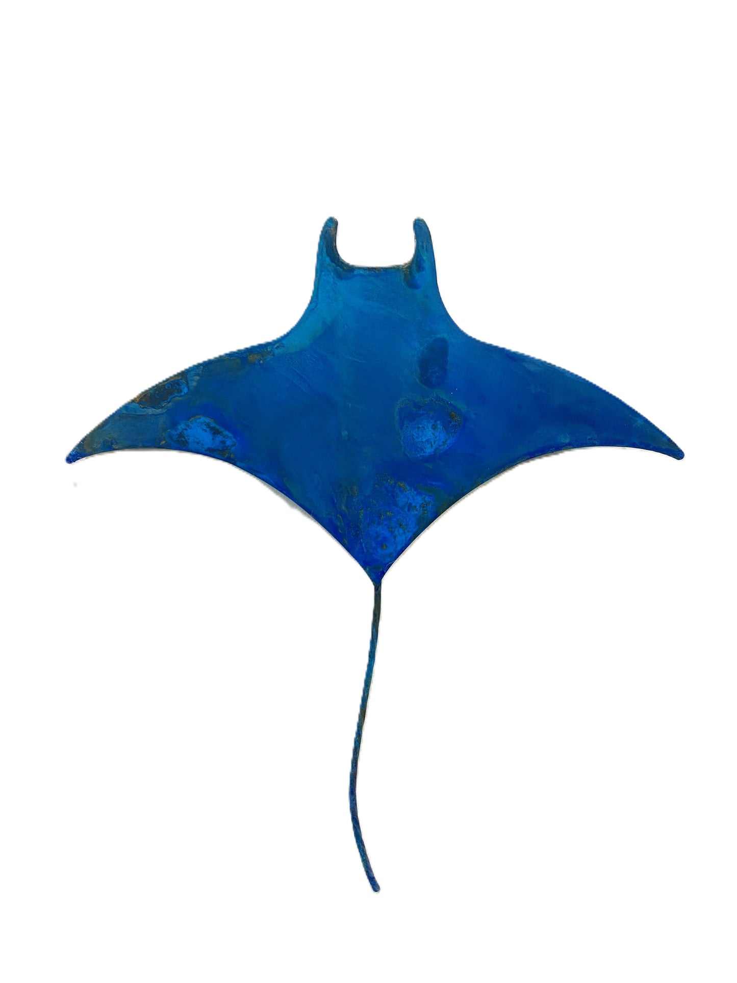 Medium Manta Ray