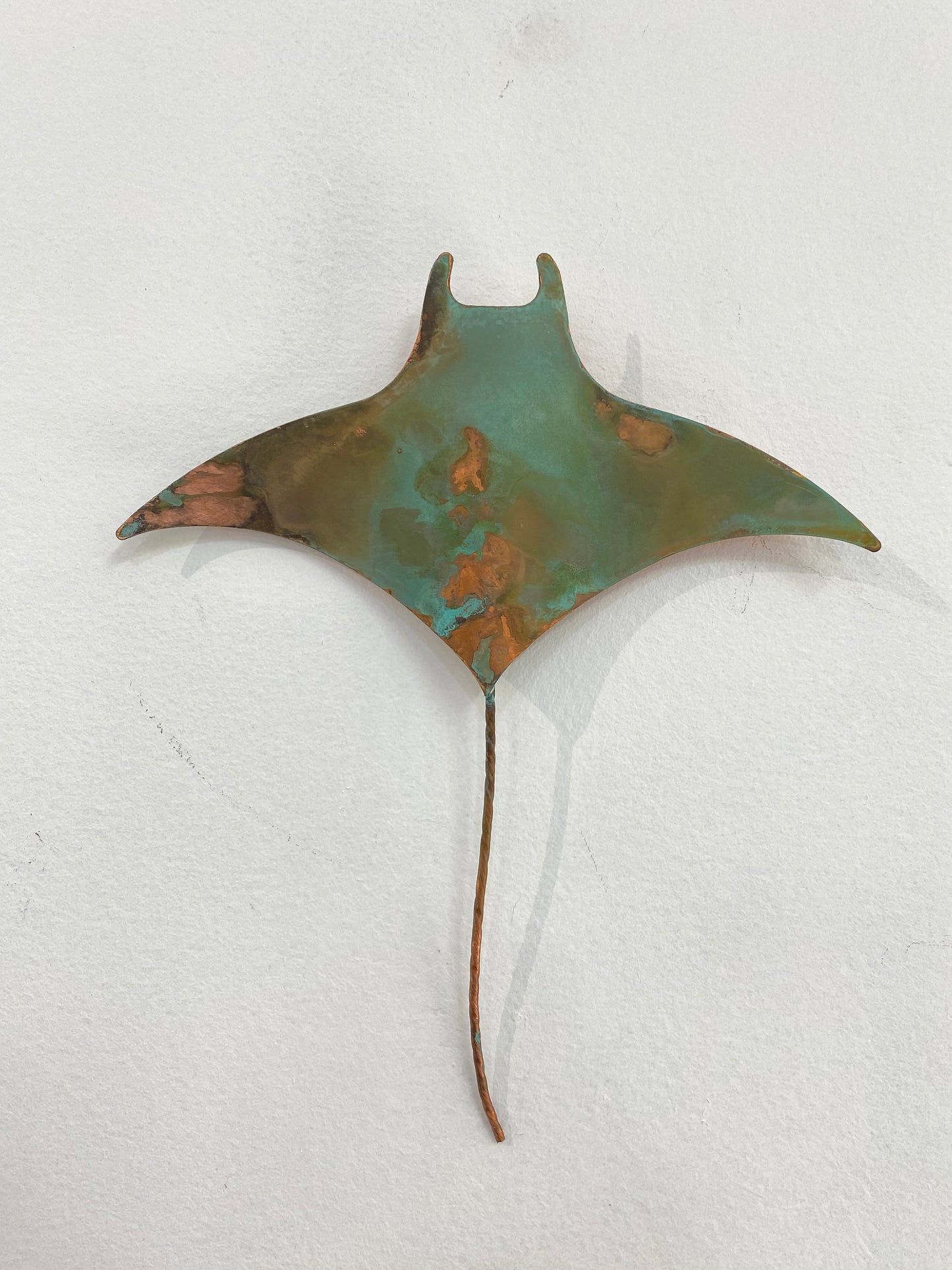 Medium Manta Ray