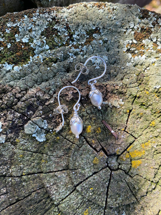 Dainty Freshwater Pearl Earrings