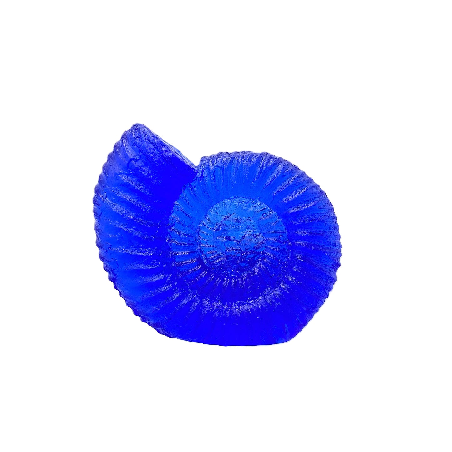 Glass Cast Ammonite
