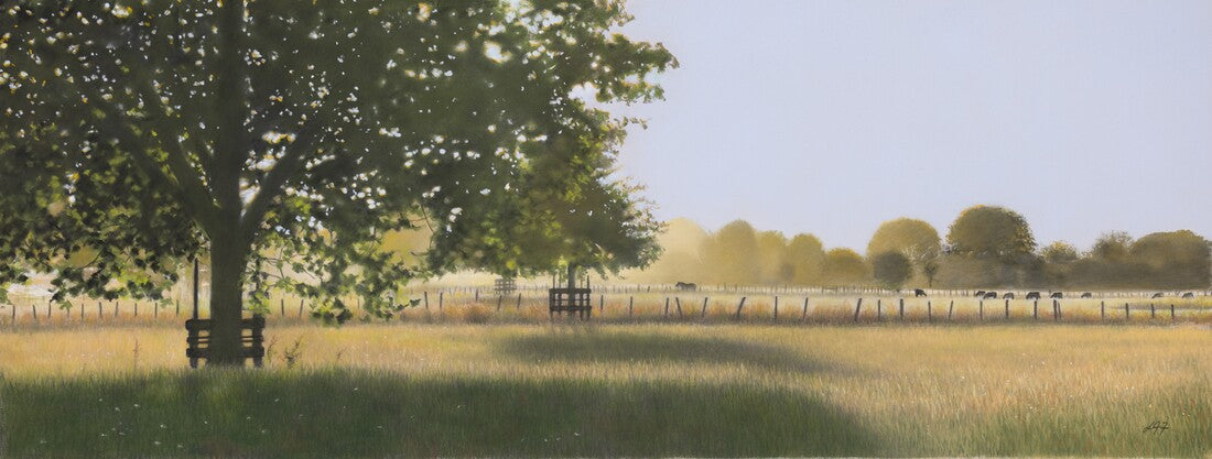 Early Morning Light