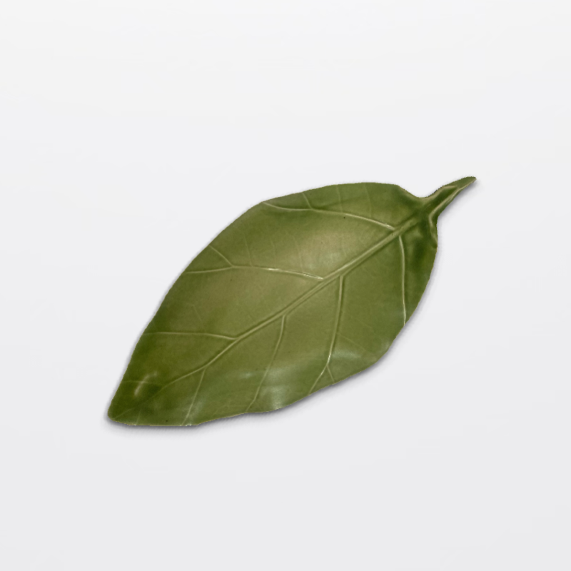 Heliconia Leaf
