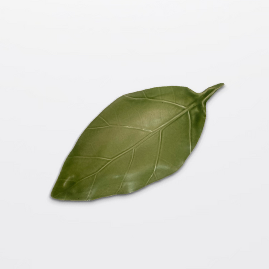 Heliconia Leaf