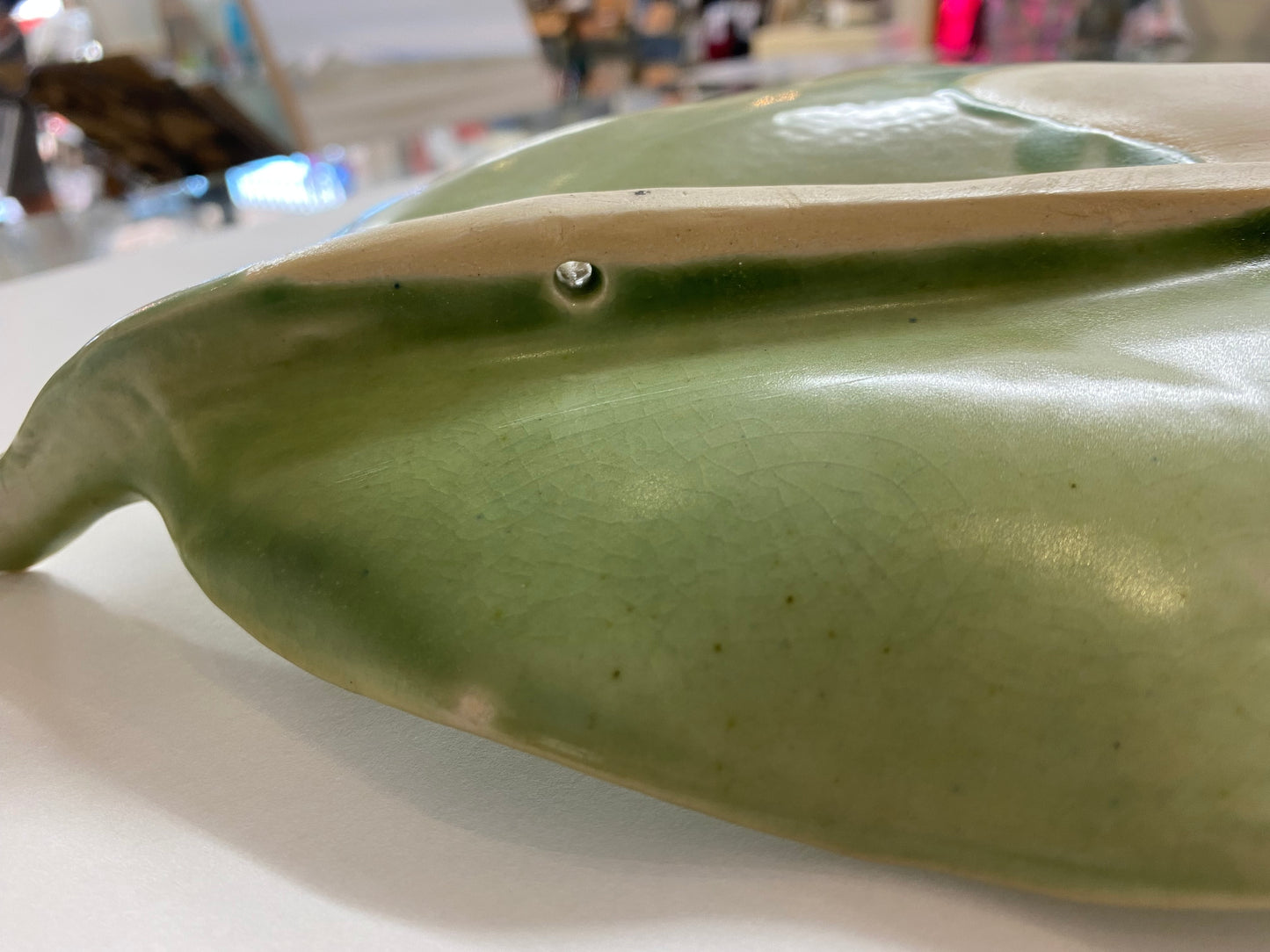 Heliconia Leaf