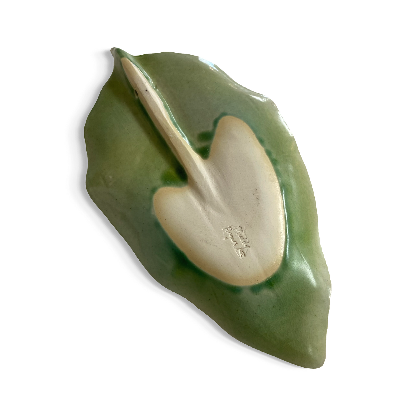 Heliconia Leaf