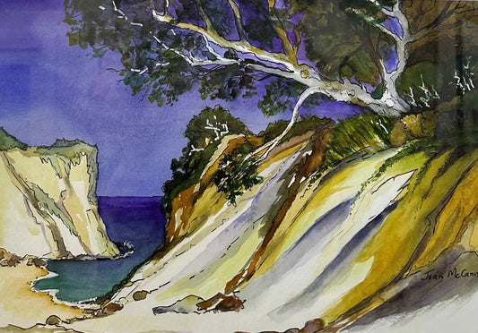 Hidden Cove