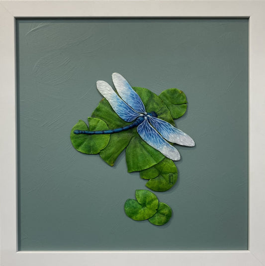 Lily Pads