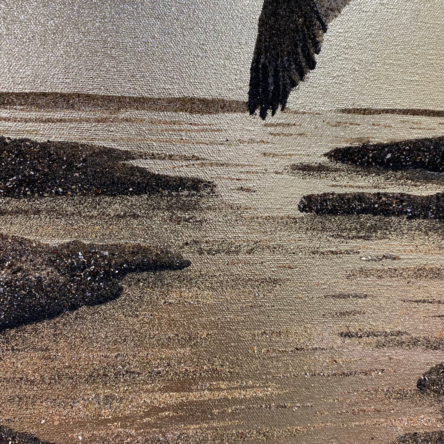 Wings Of Freedom