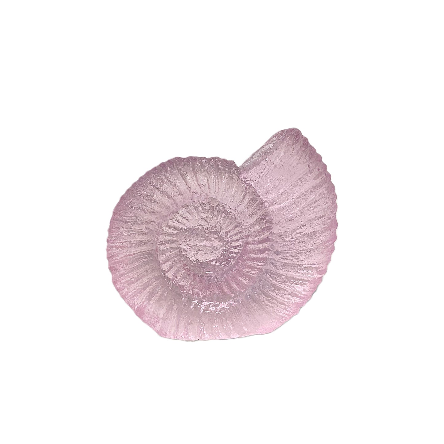 Glass Cast Ammonite