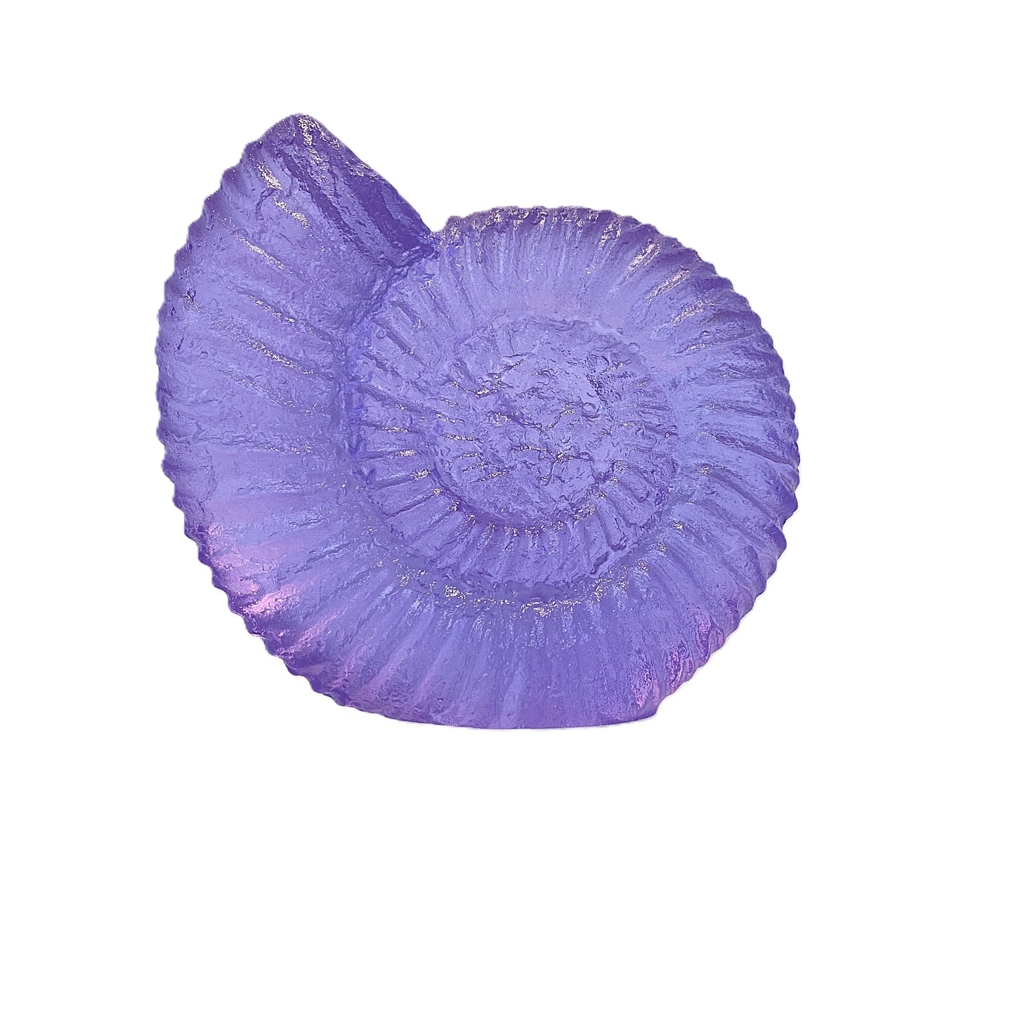 Glass Cast Ammonite