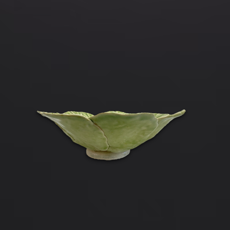 Bok Choy Bowl