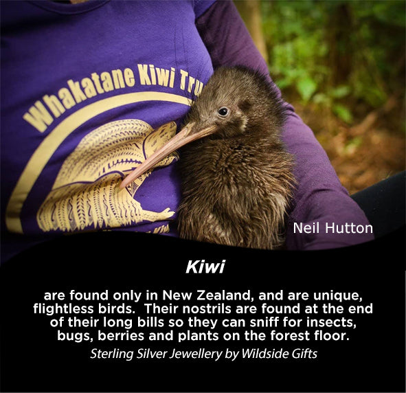 Kiwi Studs