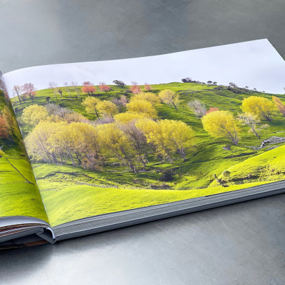 Book - Land of Light