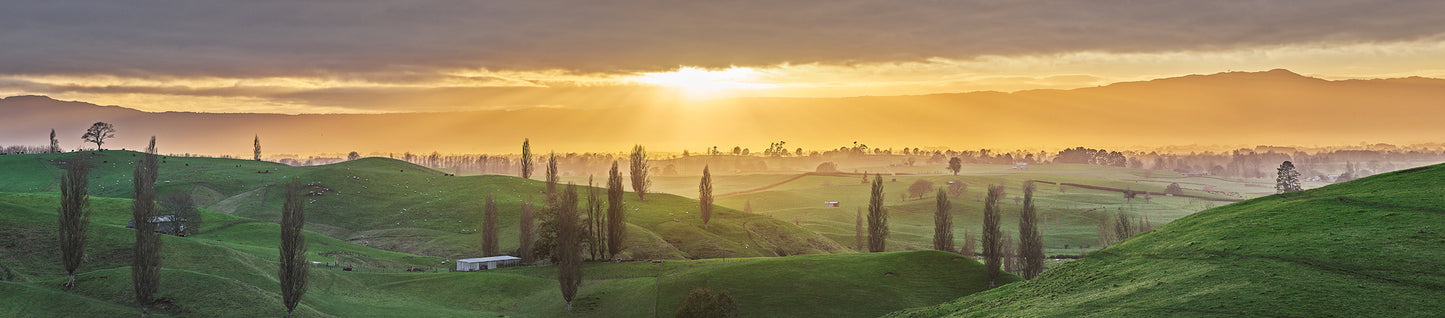Like a Tuscan Dawn