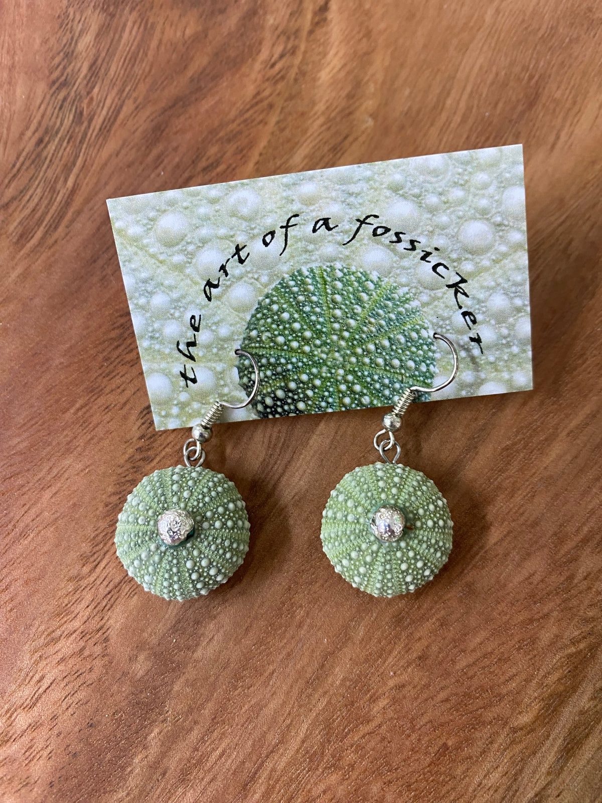 Mini Kina Drop Earrings