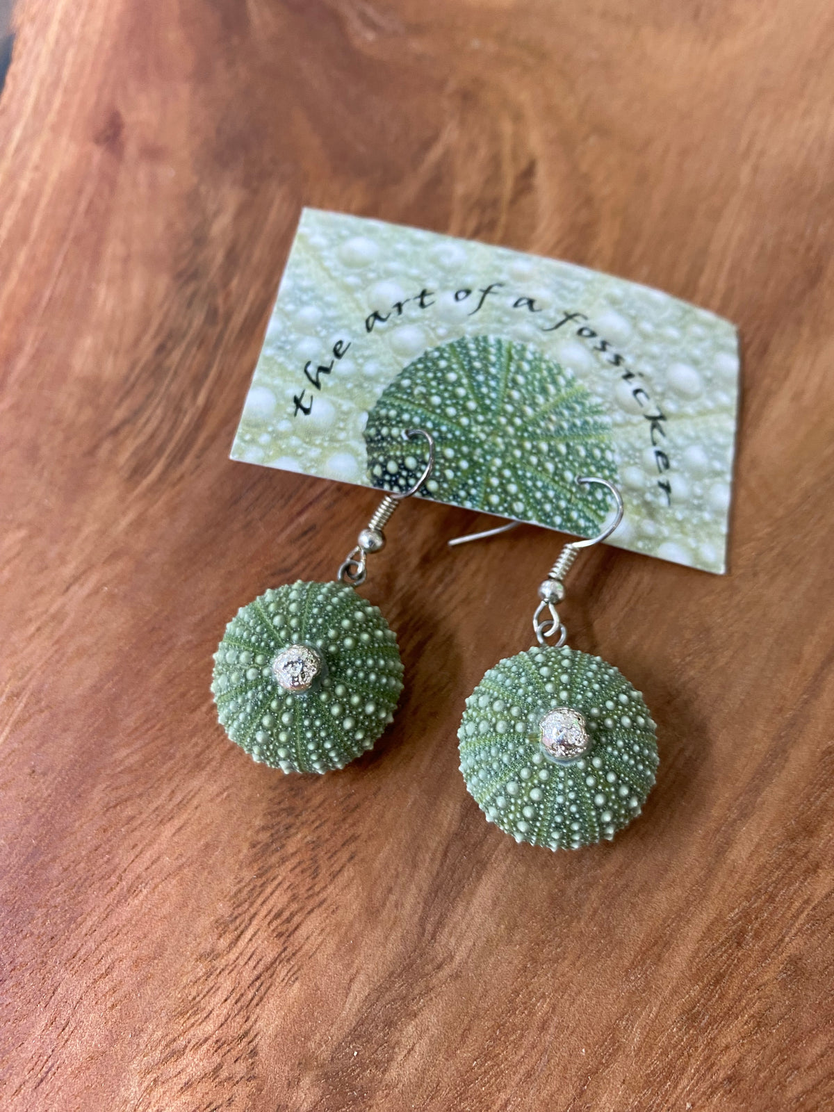 Mini Kina Drop Earrings