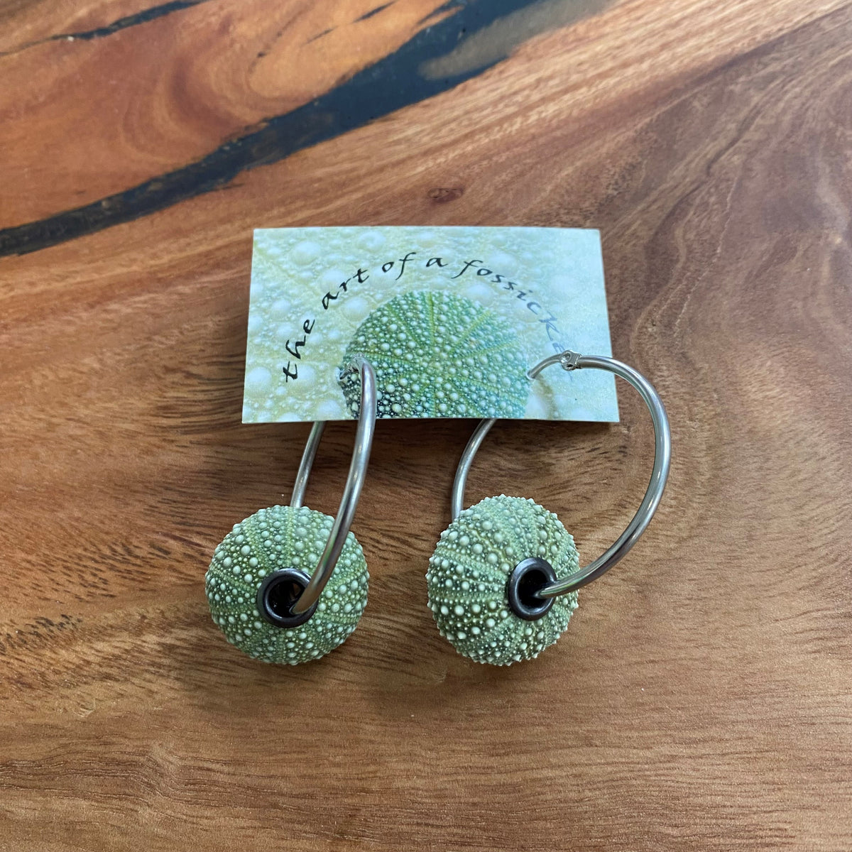 Kina Earrings With Hoops