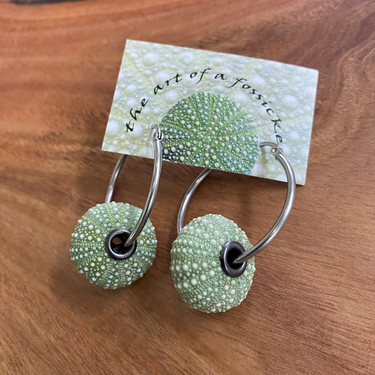 Kina Earrings With Hoops