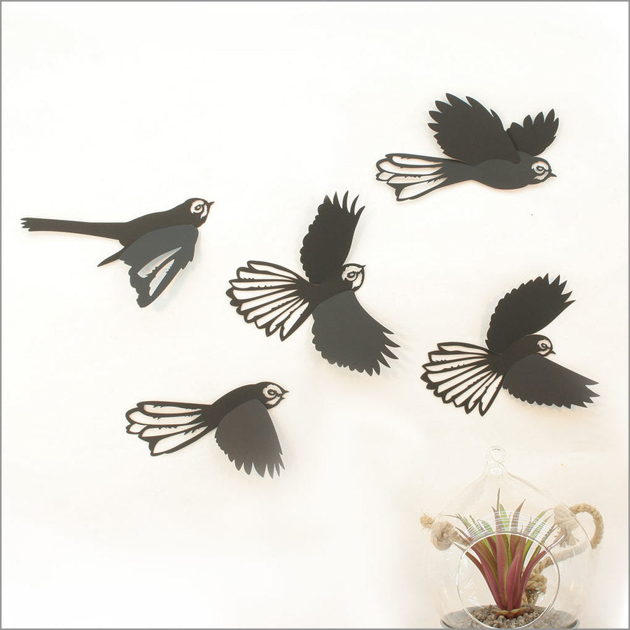 Birds Sets - ACM