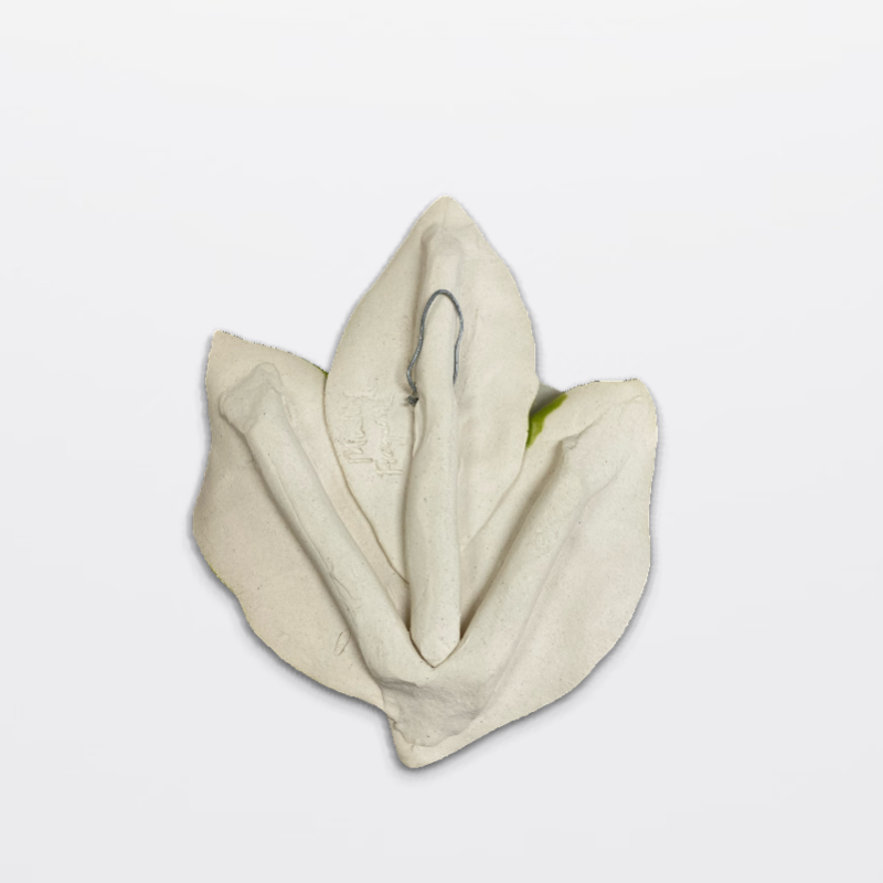 Magnolia Wall Hanging