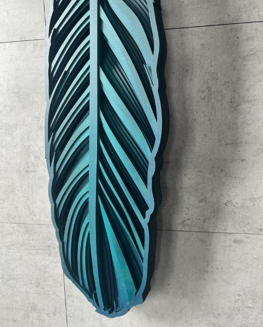 Tui Feather  - 3D Wall Art