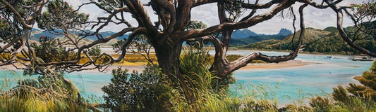 Whangapoua Harbour From Opera Point
